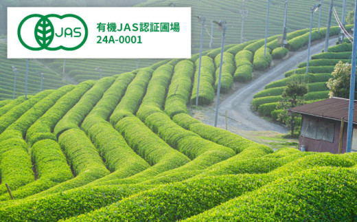 お茶 ふるさとの味 出雲のこころ3種セット 煎茶 飲み比べ ギフト お中元 お歳暮 日本茶 緑茶 煎茶 3種 3種類 セット 詰め合わせ 飲み比べセット 飲料 ドリンク 茶葉 お取り寄せ カテキン 健康 人気 おすすめ 産地直送 ギフト 贈り物 プレゼント 贈答 来客用 高級 上質 旨味 甘味 渋味 バランス おいしい 島根 雲南 島根県雲南市/砂子原茶業組合[AIBV002]