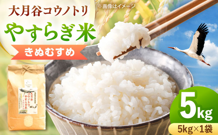 お米 大月谷コウノトリやすらぎ米 5kg きぬむすめ 米 こめ おこめ はくまい 白米 ライス 精米 コメ 5キロ 使いやすい ごはん ご飯 おにぎり お弁当 朝ごはん 便利 朝食 食卓 主食 グルメ おいしい 上品 ツヤ あっさり 冷めても美味しい 国産 新生活 一人暮らし 家族 ご当地 ごはんソムリエ おうちごはん おすすめ 人気 島根県雲南市/有限会社藤本米穀店[AIDB135]