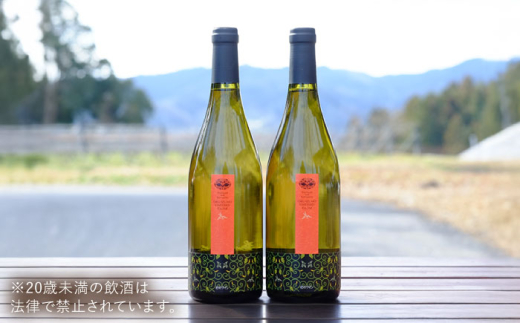 ワイン 奥出雲葡萄園 杜のワイン白　2本セット? ?国産 ワイン セット 白ワイン 2本 2本セット 詰め合わせ 飲み比べ セット お酒 酒 アルコール 日本ワイン 国産ワイン 地ワイン 750ml やや甘口 スッキリ 飲みやすい お取り寄せ プレゼント 贈答 お祝い 誕生日 記念日 パーティー 人気 おすすめ 送料無料 冷酒 島根県雲南市/有限会社奥出雲葡萄園[AICS053]