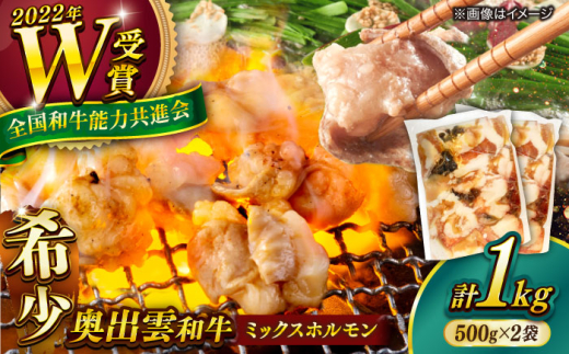 ホルモン 【奥出雲和牛100％】和牛日本一のミックスホルモン （500g×2袋）/ ホルモン ホルモンミックス 牛 牛肉 焼肉 肉 冷凍 もつ鍋 小腸 BBQ バーベキュー 和牛 ホルモン焼き ホルモン焼肉 贅沢 お取り寄せ 家庭用 自宅用 コラーゲン おつまみ やきにく アウトドア キャンプ 人気 おすすめ 1kg 島根県雲南市/島根県農業協同組合 雲南地区本部 畜産加工所 [AIBQ009]