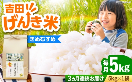 お米【全3回定期便】吉田げんき米きぬむすめ 5kg 米 こめ おこめ はくまい 白米 ライス げんき米 精米 コメ 5キロ 使いやすい ごはん ご飯 おにぎり お弁当 朝ごはん 便利 朝食 食卓 主食 グルメ おいしい つや あっさり もっちり 国産 新生活 一人暮らし 家族 ご当地 ごはんソムリエ おうちごはん おすすめ 人気 定期便 島根県雲南市/有限会社藤本米穀店 [AIDB132]