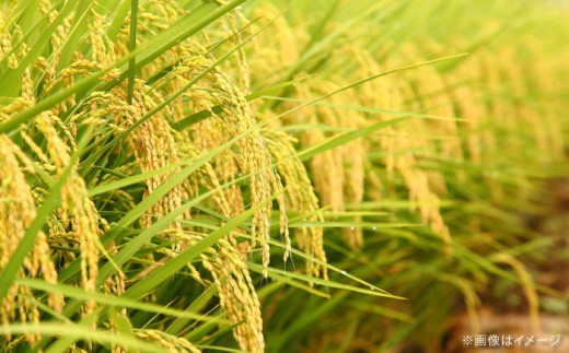 【寄附額改定↓】【全3回定期便】令和7年産 たたら焔米 雲南市プレミアムつや姫 白米 4kg（2kg×2袋）米 お米 白米 精米 白米 こめ はくまい つや姫 ご飯 ブランド米 特別栽培米 国産米 銘柄米 人気 特A 特A評価 食味特A JA 小分け 2kg×2 定期便 3回 3カ月 島根県雲南市/島根県農業協同組合 雲南地区本部 頓原加工所 [AIBR002]