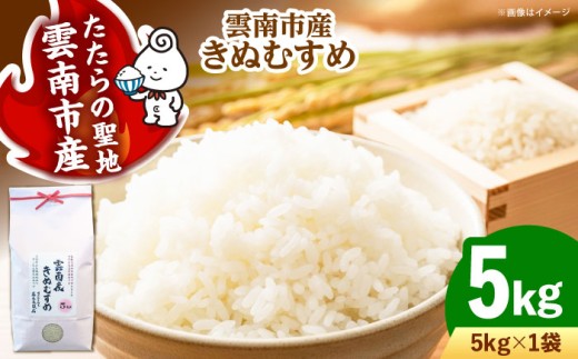 お米 雲南市産きぬむすめ 5kg 米 こめ おこめ はくまい 白米 ライス 精米 コメ 特A 5キロ 使いやすい ごはん ご飯 おにぎり お弁当 朝ごはん 便利 朝食 食卓 主食 グルメ おいしい つや あっさり 飽きない もっちり 食感 上品 国産 新生活 一人暮らし 家族 ご当地 ごはんソムリエ おうちごはん おすすめ 人気 島根県雲南市/有限会社藤本米穀店 [AIDB099]