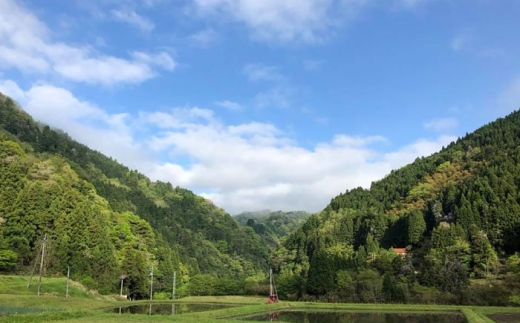 餅 杵つきまるもち 540g 2袋セット（20個）杵つきまるもち もち まるもち 吉田ふるさと村 お菓子 ぜんざい もち お菓子 デザート スイーツ お正月 和風 伝統 和菓子 お取り寄せ ご当地 雲南 絶品 美味しい 濃厚 詰め合わせ 老舗 お祝い 御祝 美味しい おすすめ 人気島根県雲南市/株式会社吉田ふるさと村 [AIBB010]
