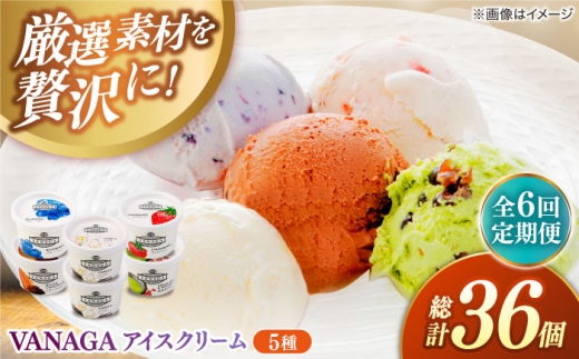 アイスクリーム【全6回定期便】ご褒美アイスにぴったり！VANAGA 5種類のアイスクリーム6個入 アイスクリーム アイス 6回 6ヶ月 半年 毎月 6個 6個入り 5種 5種類 詰め合わせ セット 食べ比べ デザート スイーツ おやつ ごほうび 木次乳業 バニラ ストロベリー 抹茶あずき ビターチョコ ブルーベリー お取り寄せ 島根県雲南市/木次乳業有限会社 [AIBH027]