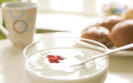 プレーンヨーグルト14個セット ヨーグルト プレーン 無糖 乳製品 乳酸菌 健康 アレンジ スイーツ 人気 大容量 島根県雲南市/木次乳業有限会社 [AIBH034]