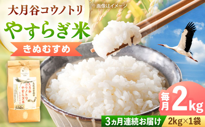 お米【全3回定期便】大月谷コウノトリやすらぎ米 2kg きぬむすめ 米 こめ おこめ はくまい 白米 ライス 精米 コメ 2キロ 使いやすい ごはん ご飯 おにぎり お弁当 朝ごはん 便利 朝食 食卓 主食 グルメ おいしい 上品 ツヤ 国産 新生活 一人暮らし 家族 ご当地 ごはんソムリエ おうちごはん おすすめ 人気 定期便 島根県雲南市/有限会社藤本米穀店 [AIDB137]