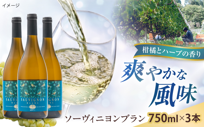 ソーヴィニヨンブラン 3本 750ml×3 白ワイン 国産 島根県雲南市/有限会社奥出雲葡萄園 [AICS112]