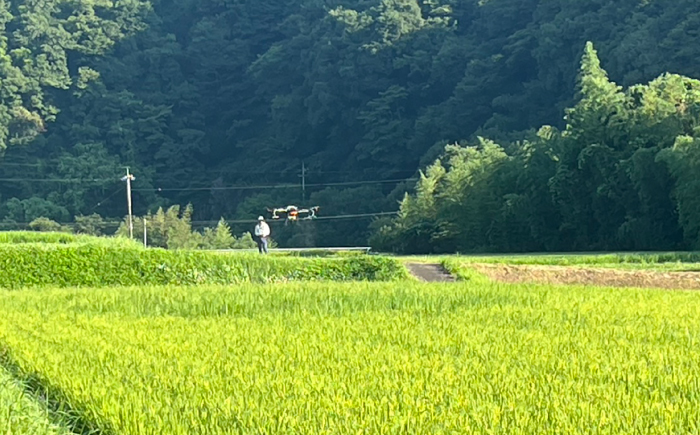 【先行予約】【100個限定】【2026年10月以降発送】新米 雲南市産きぬむすめ5kg 島根県雲南市/なべやまらいす株式会社 [AIER001]