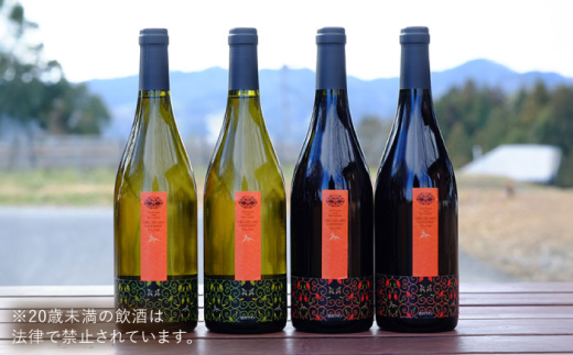 ワイン 奥出雲葡萄園 杜のワイン白2本／赤2本セット 国産 ワイン セット 白ワイン 赤ワイン 4本 4本セット 詰め合わせ 飲み比べ セット まとめ買い お酒 酒 アルコール 日本ワイン 国産ワイン 地ワイン 750ml やや甘口 スッキリ 飲みやすい お取り寄せ 贈り物 プレゼント お祝い 誕生日 記念日 パーティー 人気  島根県雲南市/有限会社奥出雲葡萄園[AICS062]