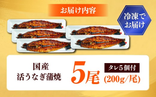 【うなぎの美味しさはタレで決まる！】自慢の味・国産活うなぎ蒲焼（5本入）| うなぎ タレ 蒲焼 国産 美味しい うな丼 鰻重 魚 島根県雲南市/有限会社石田魚店 [AICQ011]