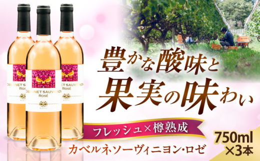 ワイン 奥出雲葡萄園 カベルネソーヴィニヨン・ロゼ 3本セット 国産 ワイン セット ロゼワイン カベルネソーヴィニヨン ロゼ 3本 3本セット 詰め合わせ 飲み比べ セット お酒 酒 アルコール 日本ワイン 国産ワイン 地ワイン 750ml 辛口 フルーティー お取り寄せ プレゼント お祝い 誕生日 記念日 パーティー 人気 島根県雲南市/有限会社奥出雲葡萄園 [AICS022]