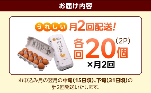 卵《月2回 × 20個 1ヵ月コース》 たたらの里平飼い 彩り天佑卵 全2回定期便 たまご 卵 放牧卵 平飼い卵 国産卵 タマゴ 玉子 鶏卵 鶏 卵黄 月2回 卵20個 1ヵ月 定期 新鮮卵 卵定期便 たまご定期便 卵料理 卵かけごはん 卵焼き 玉子焼き パック卵 便利 ストック卵 人気 美味しい卵 おすすめ 天佑卵 島根県雲南市/株式会社たなべたたらの里（たなべ森の鶏舎）[AIDL020]