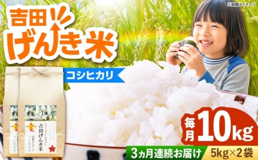 米【全3回定期便】吉田げんき米コシヒカリ 10kg（5kg×2袋）こしひかり お米 げんき米 こめ おこめ はくまい 白米 精米 コメ 10キロ ごはん ご飯 おにぎり お弁当 朝ごはん 便利 朝食 食卓 主食 グルメ おいしい ふっくら もちもち 食感 国産 新生活 一人暮らし 家族 ご当地 ごはんソムリエ おすすめ 人気 定期便 島根県雲南市/有限会社藤本米穀店 [AIDB121]