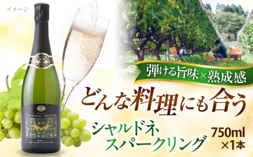 スパークリングワイン 奥出雲葡萄園 シャルドネスパークリング 国産 ワイン セット シャルドネ 1本 単品 750ml 辛口 瓶内二次発酵 泡 発泡性ワイン お酒 酒 アルコール 日本ワイン 国産ワイン 地ワイン お取り寄せグルメ お祝い 誕生日 記念日 パーティー 乾杯酒 人気 おすすめ 送料無料 冷酒 奥出雲 高級 上質 島根県雲南市/有限会社奥出雲葡萄園 [AICS058]