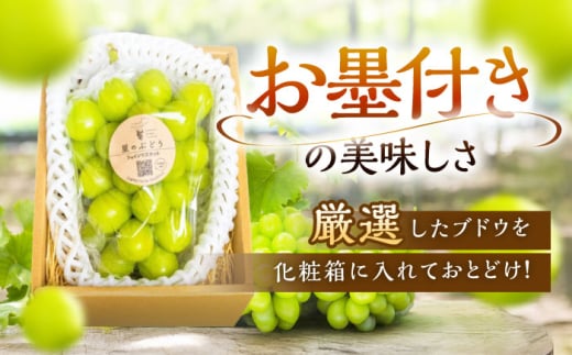 フルーツ	【2026年先行予約】【15個限定】【贈答用】旬の味わいを産地直送で！シャインマスカット 1房（約500g）秀品・化粧箱入り  ぶどう 葡萄 皮ごと 種なし 果物 産直 産地直送 旬 限定 先行予約 高級 ギフト 贈答 贈り物 プレミアム マスカット 大粒 甘い デザート スイーツ 雲南 絶品 フルーツ ご当地 人気 おすすめ 島根県雲南市/ギアファーム [AIAB003]