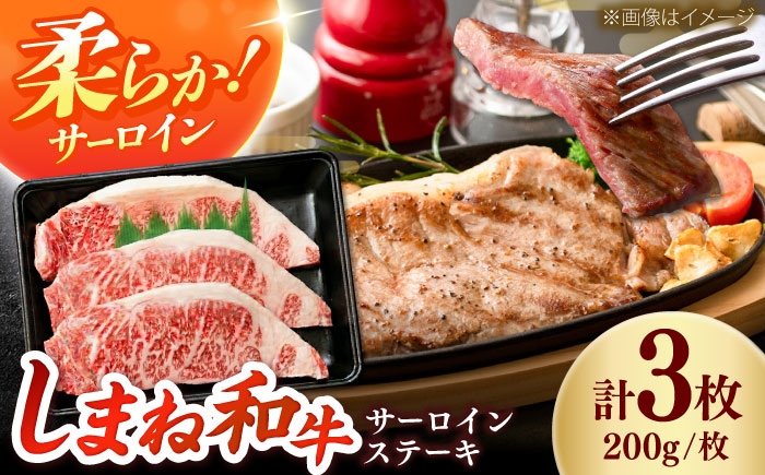しまね和牛 サーロインステーキ200ｇｘ3枚 和牛 牛肉 ステーキ / 島根県雲南市 / フジキコーポーレーション株式会社 [AIEA005]