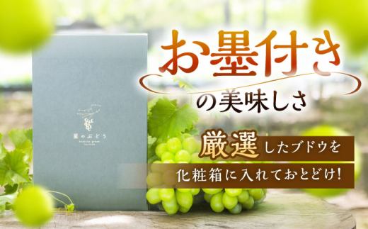 フルーツ	【全3回定期便】【2026年先行予約】【30個限定】【秀品】毎月ぶどうをお届け！イチオシ3品種 各2房  厳選 シャインマスカット マスカット ブドウ ぶどう 葡萄 大粒 季節 夏 限定 優品 果物 フルーツ お取り寄せ 旬 お中元 贈答 プレゼント 定期便 クイーンニーナ クイーンセブン 糖度 人気 おすすめ 一押し 定期便 島根県雲南市/ギアファーム [AIAB010]