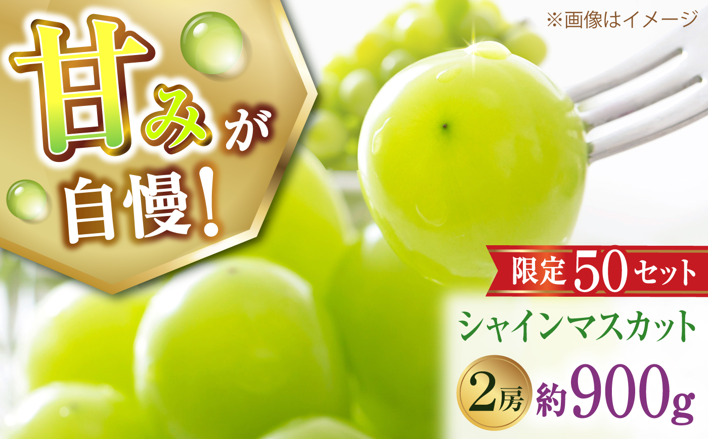 【先行予約】【50個限定】【2026年8月下旬以降順次発送】 【ご家庭用】シャインマスカット2房 島根県雲南市/なばらファーム [AIEU002]