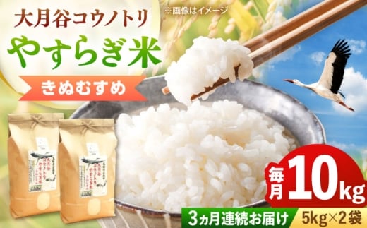 お米【全3回定期便】大月谷コウノトリやすらぎ米 10kg（5kg×2袋）きぬむすめ 米 こめ おこめ はくまい 白米 ライス 精米 コメ 10キロ 使いやすい ごはん ご飯 おにぎり お弁当 朝ごはん 便利 朝食 食卓 主食 グルメ おいしい 国産 新生活 一人暮らし 家族 ご当地 ごはんソムリエ おうちごはん おすすめ 人気 定期便 島根県雲南市/有限会社藤本米穀店[AIDB139]