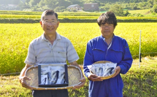十割生そば 8人前 (2人前×4袋）| 十割生そば セット そば 生そば 島根県雲南市/有限会社木村有機農園 [AICU007]