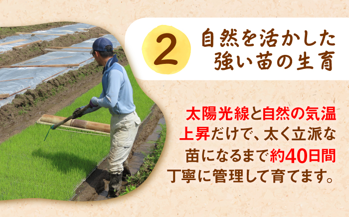 【有機JAS認証】令和7年産 玄米 雲南市産きぬむすめ 30kg（10kg×3袋） 島根県雲南市/佐藤ファーム ｜玄米 コメ 有機栽培 美味しまね認証 [AIEO008]