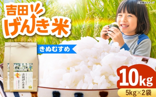 お米 吉田げんき米きぬむすめ 10kg（5kg×2袋）米 こめ おこめ はくまい 白米 ライス げんき米 精米 コメ 10キロ ごはん ご飯 おにぎり お弁当 朝ごはん 便利 朝食 食卓 主食 グルメ おいしい つや あっさり 飽きない もっちり 食感 国産 新生活 一人暮らし 家族 ご当地 ごはんソムリエ おうちごはん おすすめ 人気島根県雲南市/有限会社藤本米穀店 [AIDB130]