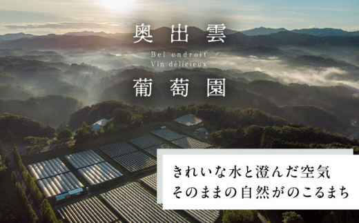 ワイン 奥出雲葡萄園 杜のワイン白2本／赤2本セット 国産 ワイン セット 白ワイン 赤ワイン 4本 4本セット 詰め合わせ 飲み比べ セット まとめ買い お酒 酒 アルコール 日本ワイン 国産ワイン 地ワイン 750ml やや甘口 スッキリ 飲みやすい お取り寄せ 贈り物 プレゼント お祝い 誕生日 記念日 パーティー 人気  島根県雲南市/有限会社奥出雲葡萄園[AICS062]