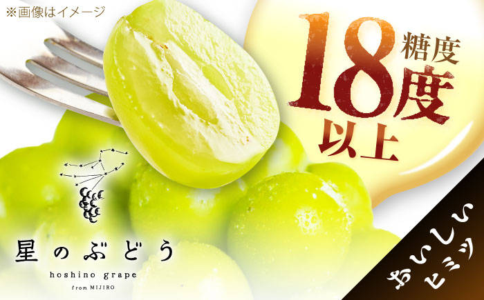 【先行予約：2026年8月中旬より発送】【ご自宅用】農家直送の2品種を食べ比べ！シャインマスカット 1房 ピオーネ 1房（約850g）簡易包装 訳あり 島根県雲南市/ギアファーム [AIAB017]