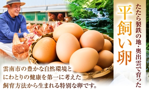 卵《月2回 × 10個 6ヵ月コース》 たたらの里平飼い 彩り天佑卵 全12回定期便 たまご 卵 放牧卵 平飼い卵 国産卵 タマゴ 玉子 鶏卵 鶏 卵黄 月2回 卵10個 6ヵ月 定期 新鮮卵 卵定期便 たまご定期便 卵料理 卵かけごはん 卵焼き 玉子焼き パック卵 便利 ストック卵 人気 美味しい卵 おすすめ 天佑卵島根県雲南市/株式会社たなべたたらの里（たなべ森の鶏舎） [AIDL018]