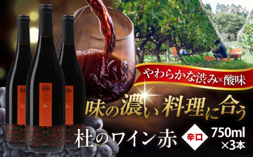 奥出雲葡萄園 杜のワイン赤 3本セット ワイン お酒 ギフト 国産 熟成ワイン 熟成 酒 赤 赤ワイン 辛口 果実酒 お祝 贈答用 アルコール フルボトル 飲料 島根県雲南市/有限会社奥出雲葡萄園 | 赤ワインセット おすすめ 人気 詰め合わせ 3本 ワインギフト プレゼント 贈り物 パーティー 家飲み 宅飲み 晩酌 誕生日 お徳用 まとめ買い [AICS048]