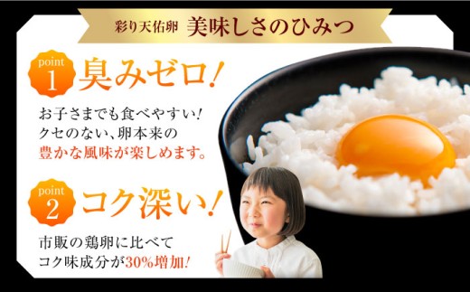 卵 【平飼い卵】【全12回定期便】黄身の濃厚なコクと白身の甘み！たたらの里平飼い 彩り天佑卵 20個入り（10個×2P）たまご 卵 放牧卵 玉子 タマゴ 鶏卵 生卵 国産 平飼い 放し飼い 卵焼き 卵かけご飯 朝食 ご褒美 コク 旨み 贅沢 お取り寄せ 毎日食べたい卵 美容 健康 単品 定期便 人気 高評価 ランキング 島根県雲南市/株式会社たなべたたらの里（たなべ森の鶏舎） [AIDL015]