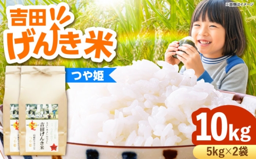 お米 吉田げんき米つや姫 10kg（5kg×2袋）つやひめ げんき 米 こめ おこめ はくまい 白米 ライス 精米 コメ 10キロ 使いやすい ごはん ご飯 おにぎり お弁当 朝ごはん 便利 朝食 食卓 主食 グルメ おいしい ふっくら もちもち 食感 国産 新生活 一人暮らし 家族 ご当地 ごはんソムリエ おうちごはん おすすめ 人気 島根県雲南市/有限会社藤本米穀店 [AIDB124]
