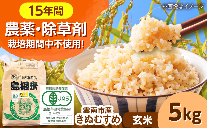 【有機JAS認定】令和7年産 玄米 雲南市産きぬむすめ 5kg 島根県雲南市/佐藤ファーム ｜玄米 コメ 有機栽培 完全無農薬 美味しまね認証 [AIEO006]