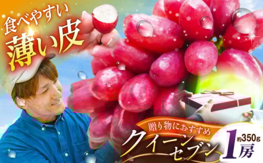 フルーツ【2026年先行予約】【10個限定】【贈答用】期待の新品種！クイーンセブン 1房（約350g）秀品・化粧箱入りぶどう 葡萄 皮ごと 種なし 果物 産直 産地直送 旬 限定 先行予約 高級 ギフト 贈答 贈り物 ブドウ オリジナル化粧箱 ギフト 星のぶどう 夏のギフト 大粒 甘い デザート スイーツ クイーンセブン 雲南 ご当地 島根県雲南市/ギアファーム [AIAB007]