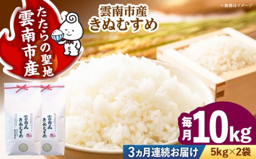 お米【全3回定期便】雲南市産きぬむすめ 10kg（5kg×2袋）米 こめ おこめ はくまい 白米 ライス 精米 コメ 特A 10キロ 使いやすい ごはん ご飯 おにぎり お弁当 朝ごはん 便利 朝食 食卓 主食 グルメ おいしい つや あっさり もっちり 食感 国産 新生活 一人暮らし 家族 ご当地 ごはんソムリエ おすすめ 人気 定期便島根県雲南市/有限会社藤本米穀店[AIDB103]