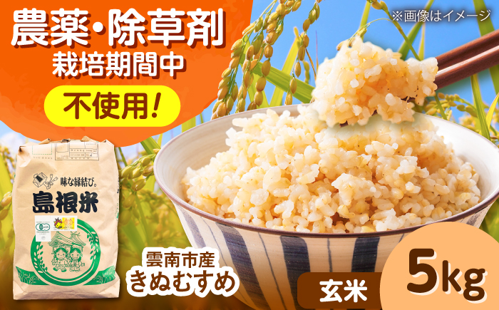 【有機JAS認定】令和7年産 玄米 雲南市産きぬむすめ 5kg 島根県雲南市/佐藤ファーム ｜玄米 コメ 有機栽培 完全無農薬 美味しまね認証 [AIEO006]