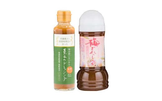 お醤油屋さんのドレッシング2種セット（基本・梅）各1本  調味料 ドレッシング サラダ 詰め合わせ 島根県雲南市/有限会社紅梅しょうゆ [AICV065]