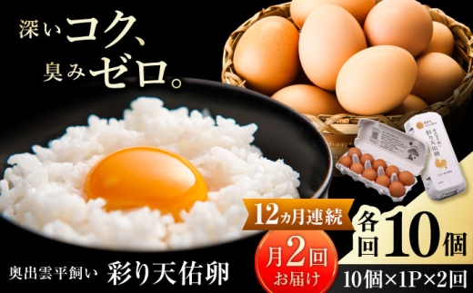 卵《月2回 × 10個 12ヵ月コース》たたらの里平飼い 彩り天佑卵 全24回定期便 たまご 卵 放牧卵 平飼い卵 国産卵 タマゴ 玉子 鶏卵 鶏 卵黄 月2回 卵10個 12ヵ月 定期 新鮮卵 卵定期便 たまご定期便 卵料理 卵かけごはん 卵焼き 玉子焼き パック卵 便利 ストック卵 人気 美味しい卵 おすすめ 天佑卵 島根県雲南市/株式会社たなべたたらの里（たなべ森の鶏舎） [AIDL019]