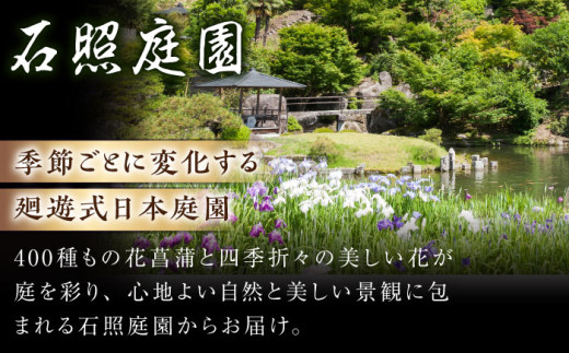 花【4月〜11月発送】花しょうぶ（ジャパン アイリス）の苗 おまかせ12株 花 しょうぶ 菖蒲 アイリス 苗 植木 ガーデニング 庭園 植物 贈り物 ギフト 贈答品 お取り寄せ 観光 自然 園芸 お花 美しい おまかせ
ガーデニング 初心者 プランター 国産 季節 庭 ガーデン 寄せ植え 鉢植え 栽培 初心者 趣味 花好き フラワーギフト 島根県雲南市/石照庭園 [AIAC002]