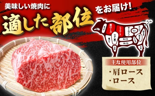 焼肉の定番！しまね和牛焼肉用ロース/肩ロース1kg（各250g×2）肉 にく お肉 おにく 和牛 牛肉 ぎゅうにく 牛肉1kg 国産 国産牛 ブランド牛 赤身 焼肉 焼肉用 やきにく ロース 肩ロース 肉4パック 人気 黒毛和牛 しまね和牛 島根和牛 島根 おすすめ 美味しい 柔らかい肉 詰め合わせ お試し 食べ比べ ロース2種 島根県雲南市/株式会社O.R.C [AIEF013]