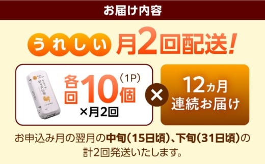 卵《月2回 × 10個 12ヵ月コース》たたらの里平飼い 彩り天佑卵 全24回定期便 たまご 卵 放牧卵 平飼い卵 国産卵 タマゴ 玉子 鶏卵 鶏 卵黄 月2回 卵10個 12ヵ月 定期 新鮮卵 卵定期便 たまご定期便 卵料理 卵かけごはん 卵焼き 玉子焼き パック卵 便利 ストック卵 人気 美味しい卵 おすすめ 天佑卵 島根県雲南市/株式会社たなべたたらの里（たなべ森の鶏舎） [AIDL019]