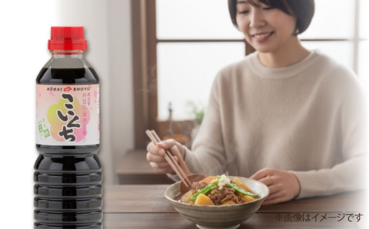 心のふるさとこいくち醤油500ml3本セット│調味料 醤油 しょうゆ こいくち 和食 ギフト 島根県雲南市/有限会社紅梅しょうゆ [AICV020]