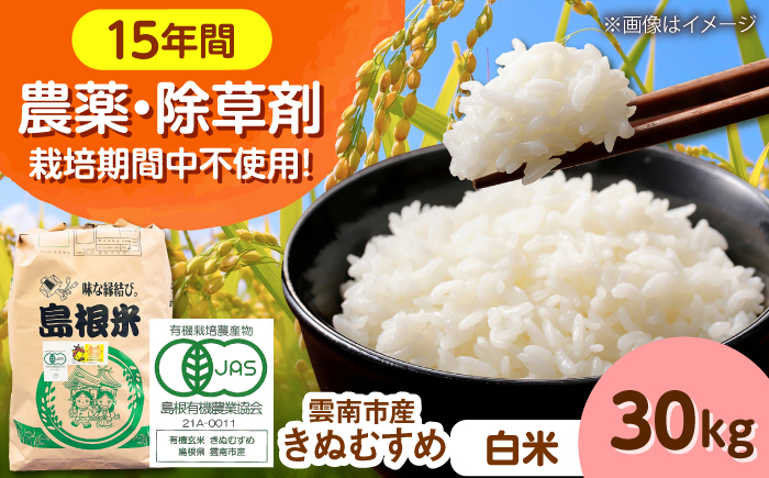 【有機JAS認定】令和7年産 白米 雲南市産きぬむすめ 30kg（10kg×3袋） 島根県雲南市/佐藤ファーム ｜精米 コメ 有機栽培 完全無農薬 美味しまね認証 [AIEO004]