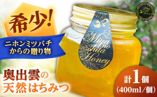 はちみつ 希少な天然日本ミツバチの「はちみつ」 400ml×1個 蜂蜜 国産 日本蜜蜂 ニホンミツバチ 天然 100% 400ml 1個 1本 瓶詰め 生はちみつ 非加熱 完熟 お取り寄せグルメ ご当地グルメ 高級 希少 貴重 贈り物 贈答 人気 おすすめ 送料無料 百花蜜 酵素 栄養 健康 美容 パン ヨーグルト 紅茶 料理 島根県雲南市/みやのしたハチミツ [AICL002]