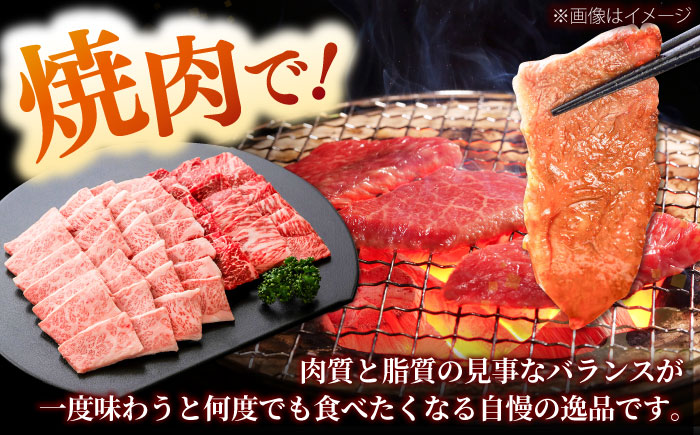 しまね和牛 2種の焼肉セット（カルビ400ｇ/モモ400ｇ）和牛 牛肉 赤身 焼肉 セット / 島根県雲南市 / フジキコーポレーション株式会社 [AIEA007]