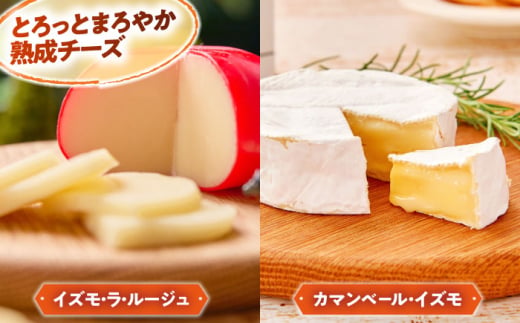 チーズ 大満足の美味しさ！乳製品セットDX（プリン・ヨーグルト・4種のチーズ）詰め合わせ 詰合せ セット ギフト 贈り物 プレゼント 木次乳業 プリン ぷりん ヨーグルト チーズ ナチュラルチーズ プロボローネ カマンベール ゴーダ フロマージュ フレッシュ 朝食 おやつ デザート スイーツ 人気 おすすめ おいしい 朝食 島根 雲南 島根県雲南市/木次乳業有限会社 [AIBH012]