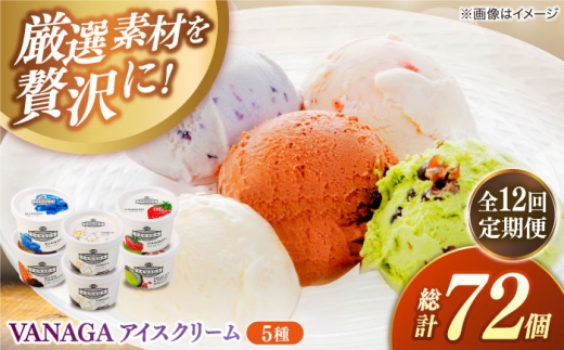 アイスクリーム【全12回定期便】ご褒美アイスにぴったり！VANAGA 5種類のアイスクリーム6個入 アイスクリーム アイス 12回 12ヶ月 1年 毎月 6個 6個入り 5種 5種類 詰め合わせ セット 食べ比べ デザート スイーツ おやつ ごほうび 木次乳業 バニラ ストロベリー 抹茶あずき ビターチョコ ブルーベリー 島根 雲南 島根県雲南市/木次乳業有限会社 [AIBH028]