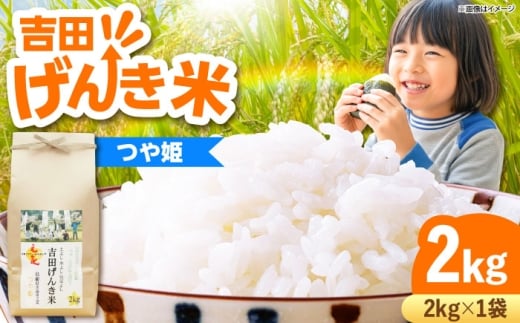 米 吉田げんき米つや姫 2kg つやひめ げんき 米 こめ おこめ はくまい 白米 ライス 精米 コメ 2キロ 使いやすい ごはん ご飯 おにぎり お弁当 朝ごはん 便利 朝食 食卓 主食 グルメ おいしい ふっくら もちもち 食感 国産 新生活 一人暮らし 家族 家庭用 ご当地 ごはんソムリエ おうちごはん おすすめ 人気 島根県雲南市/有限会社藤本米穀店 [AIDB122]