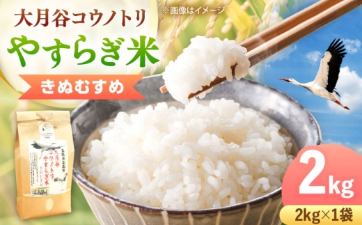 お米 大月谷コウノトリやすらぎ米きぬむすめ 2kg 米 こめ おこめ 白米 精米 コメ ブランド米 お米2kg ご飯 島根米 きぬむすめ米 米2kg 小分け 銘柄米 特A米 しまねきぬむすめ 食味評価特A 朝食 おすすめ 人気 島根県雲南市/有限会社藤本米穀店 [AIDB134]